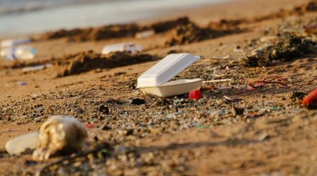 Senate passes bill to reduce polystyrene, single-use plastics at Delaware food establishments